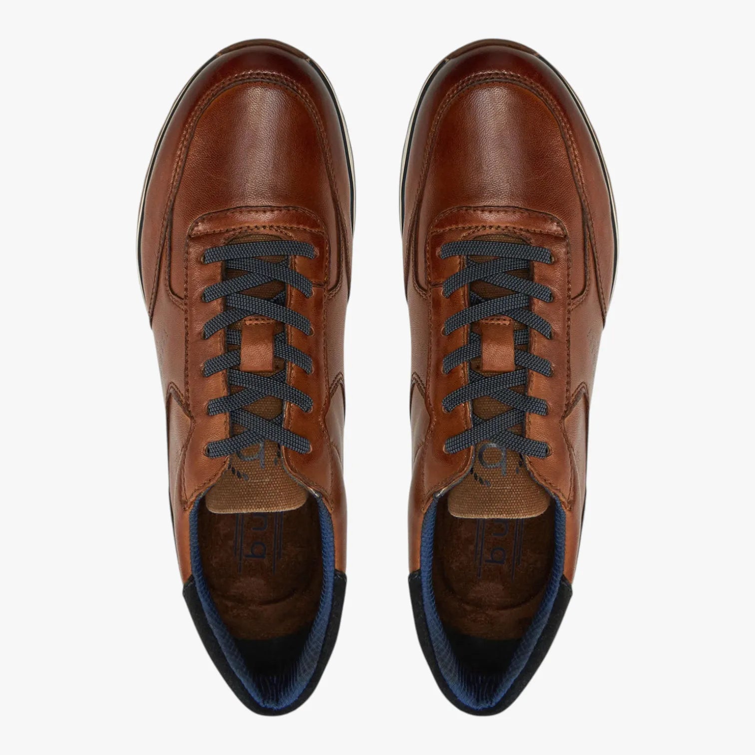 Bugatti Cognac Brown Trainer (Elastic Laces) - 335-A021P-4000