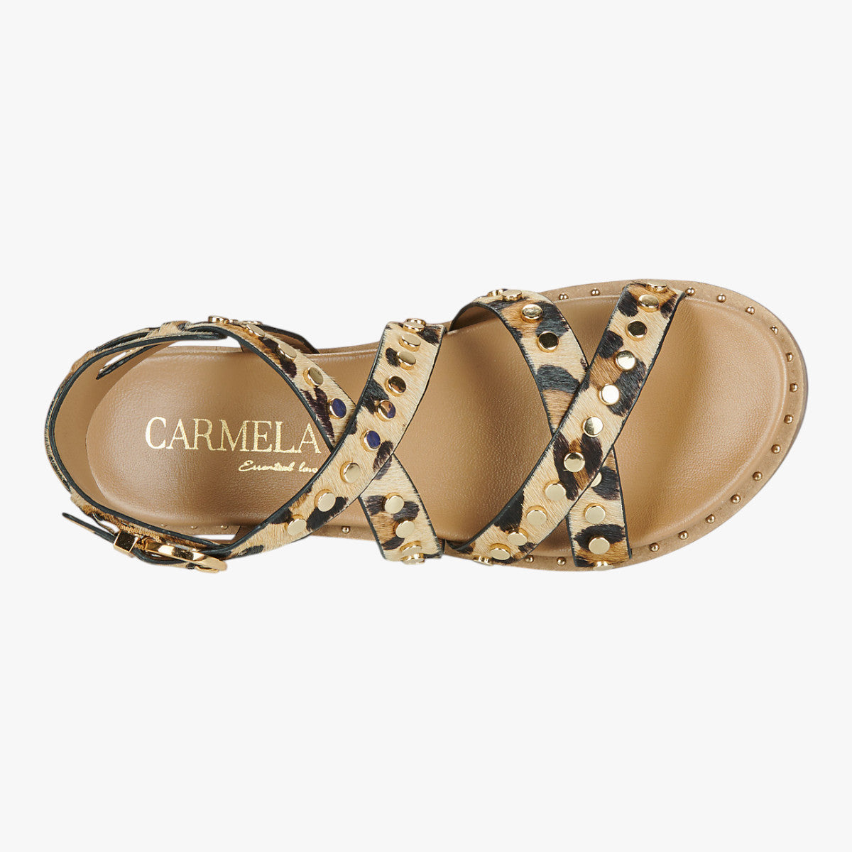 Carmela Leopard Sandal (Buckle Fastening) – 162393