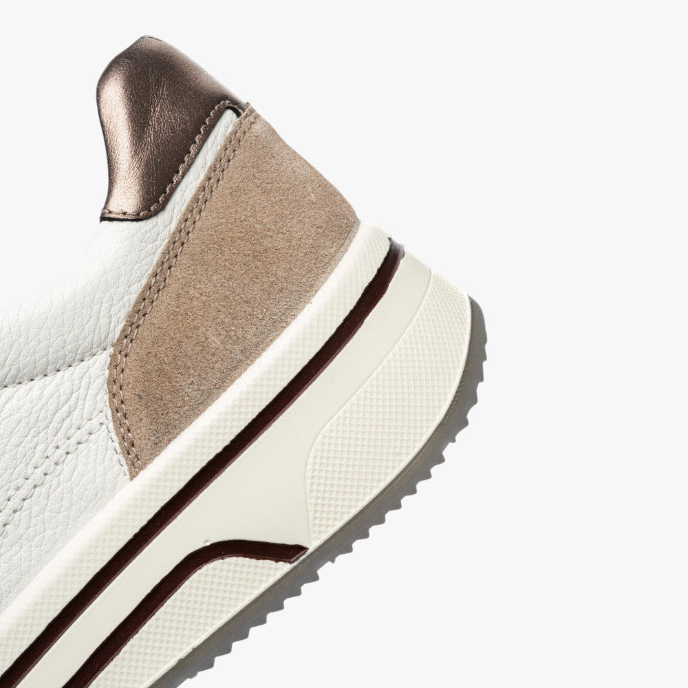 Ara Sapporo 3.0 Cashmere/Cream Trainers – HighSoft - Leavys Shoes