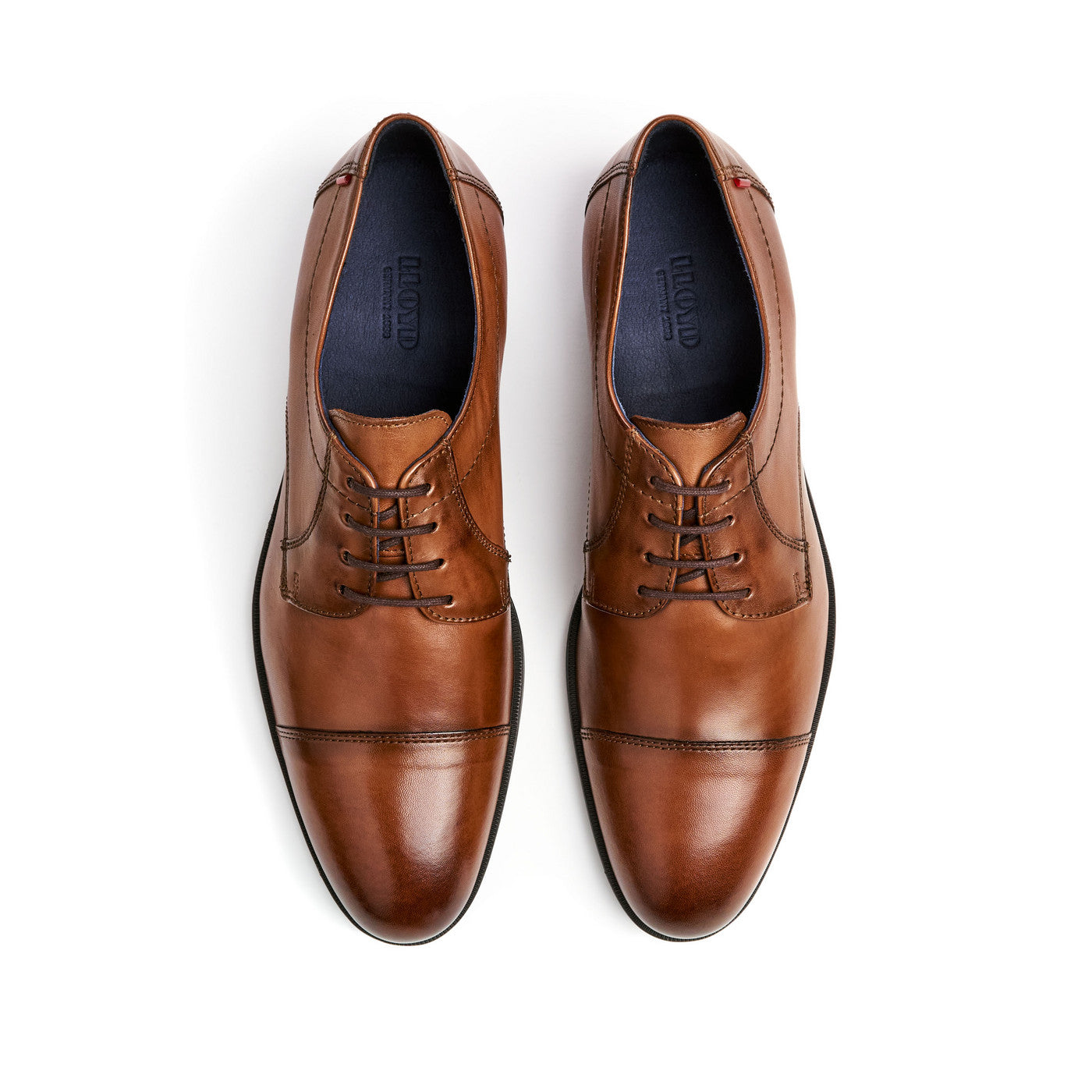 LLOYD Men's Formal Brown Derby Shoes