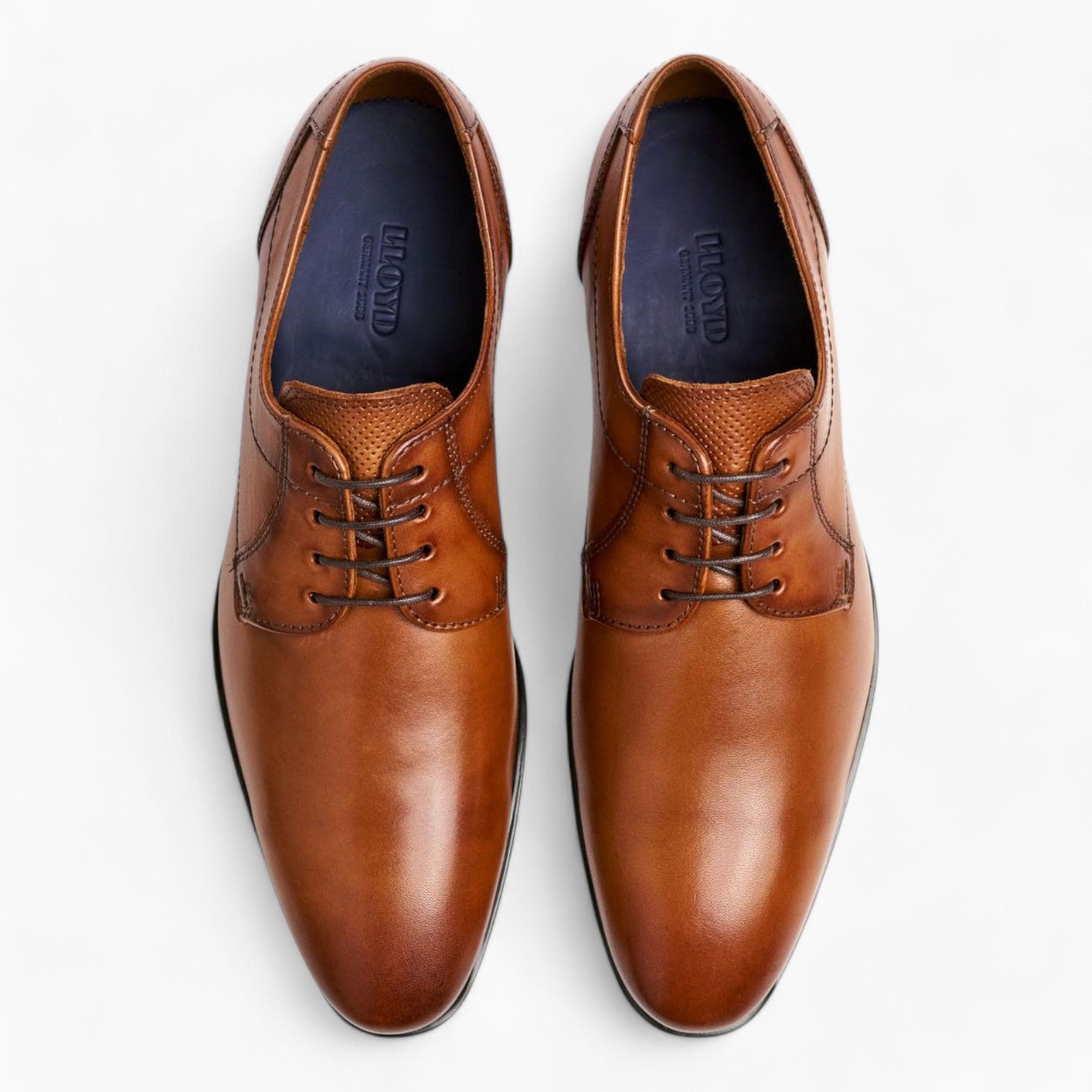 Men's Derby Shoes in Rich Cognac by Lloyd