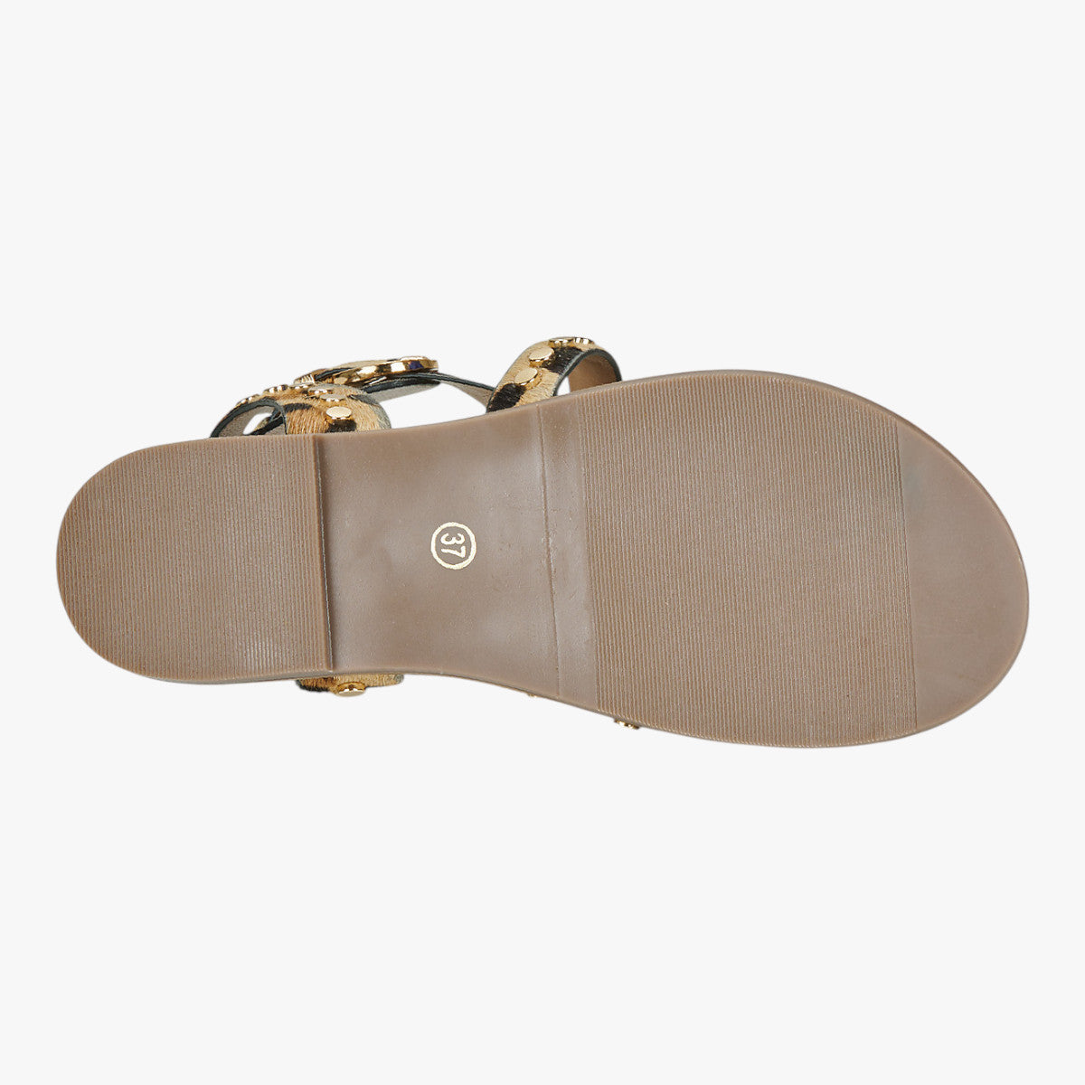 Carmela Leopard Sandal (Buckle Fastening) – 162393