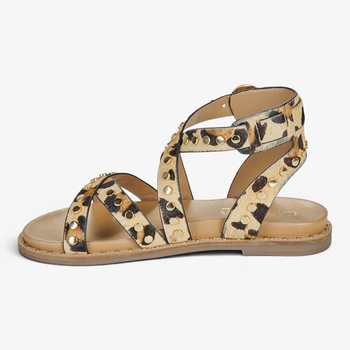 Carmela Leopard Sandal (Buckle Fastening) – 162393