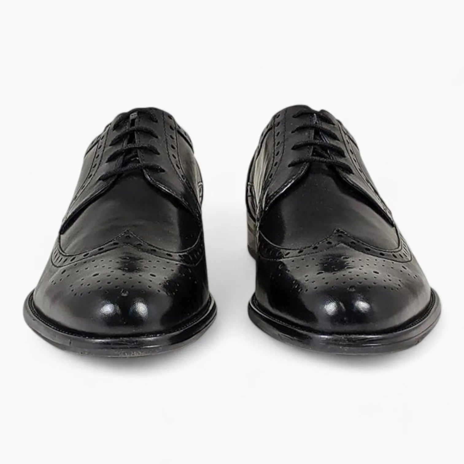 Brogue Design Formal Dress Shoe - Dubarry Dyson Black - Leavys Shoes