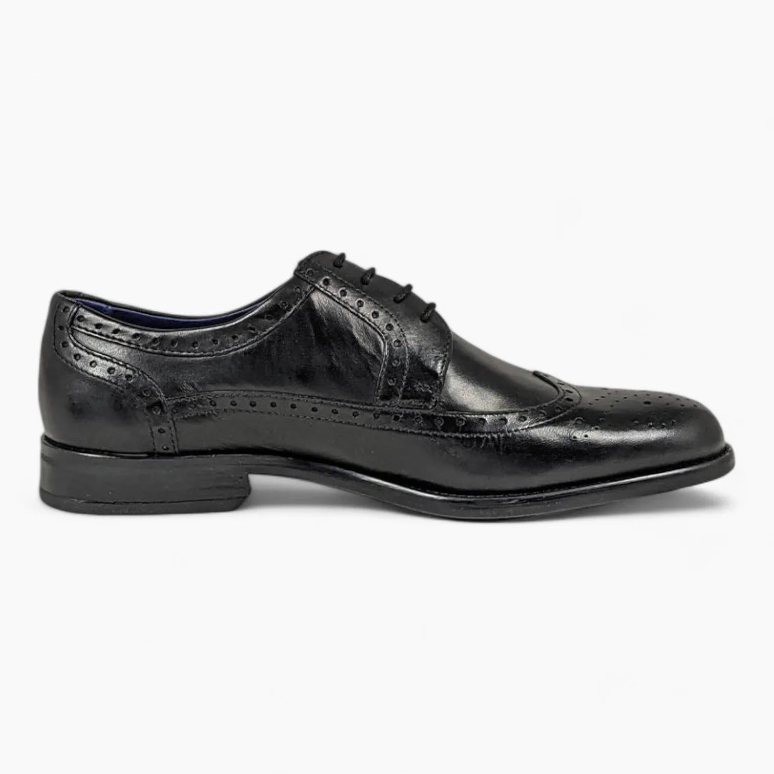 Brogue Design Formal Dress Shoe - Dubarry Dyson Black - Leavys Shoes