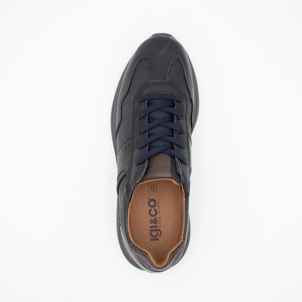 Dark gray sneaker with blue laces on a white background