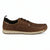 Brown Casual Shoes with Dark Brown Laces - Dubarry Matthew