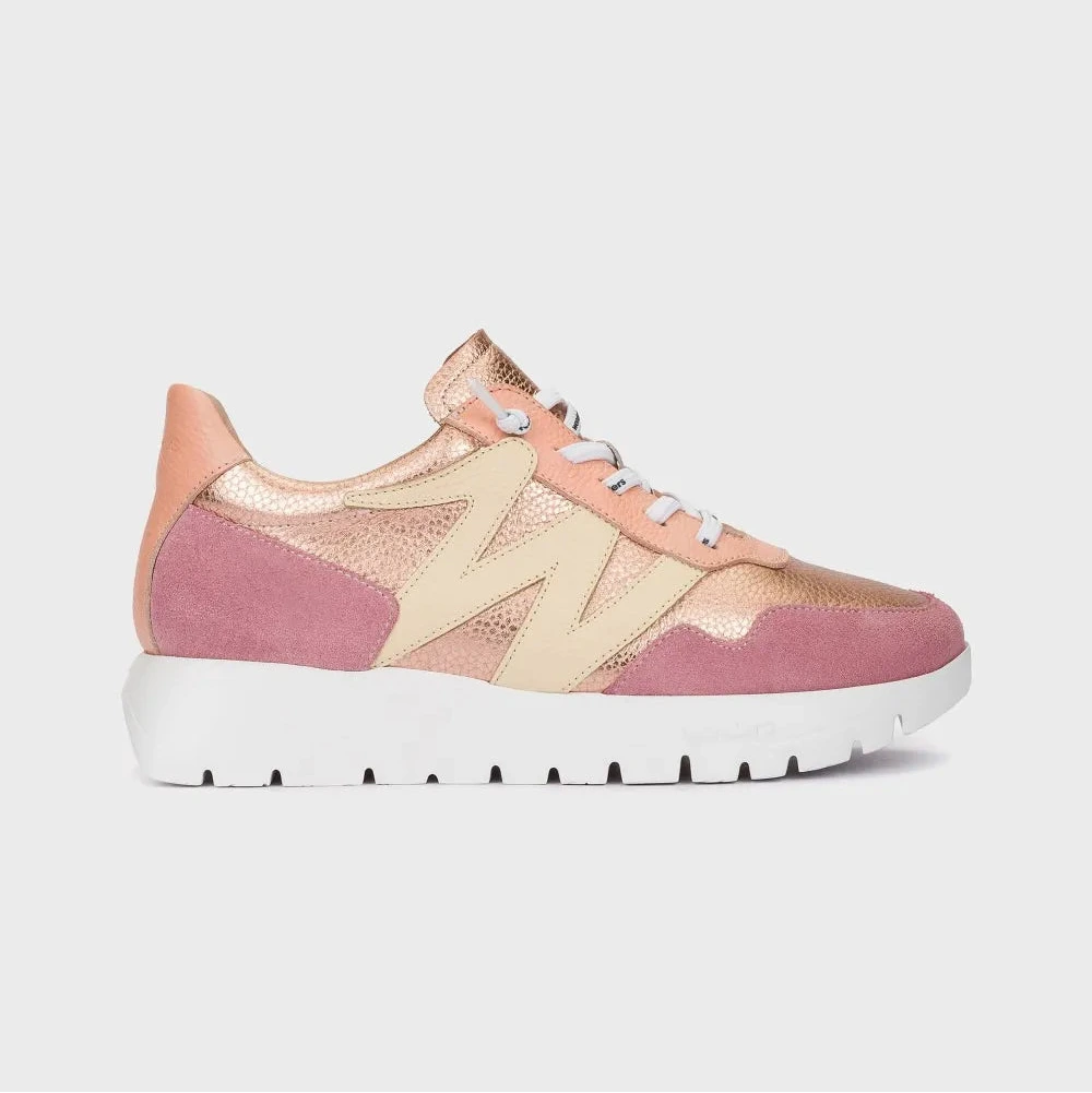 Pink and beige sneaker on a light gray background
