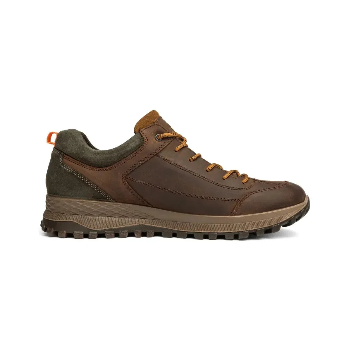 Inner side profile of the Ara Marino men's brown GORE-TEX lace-up shoe.