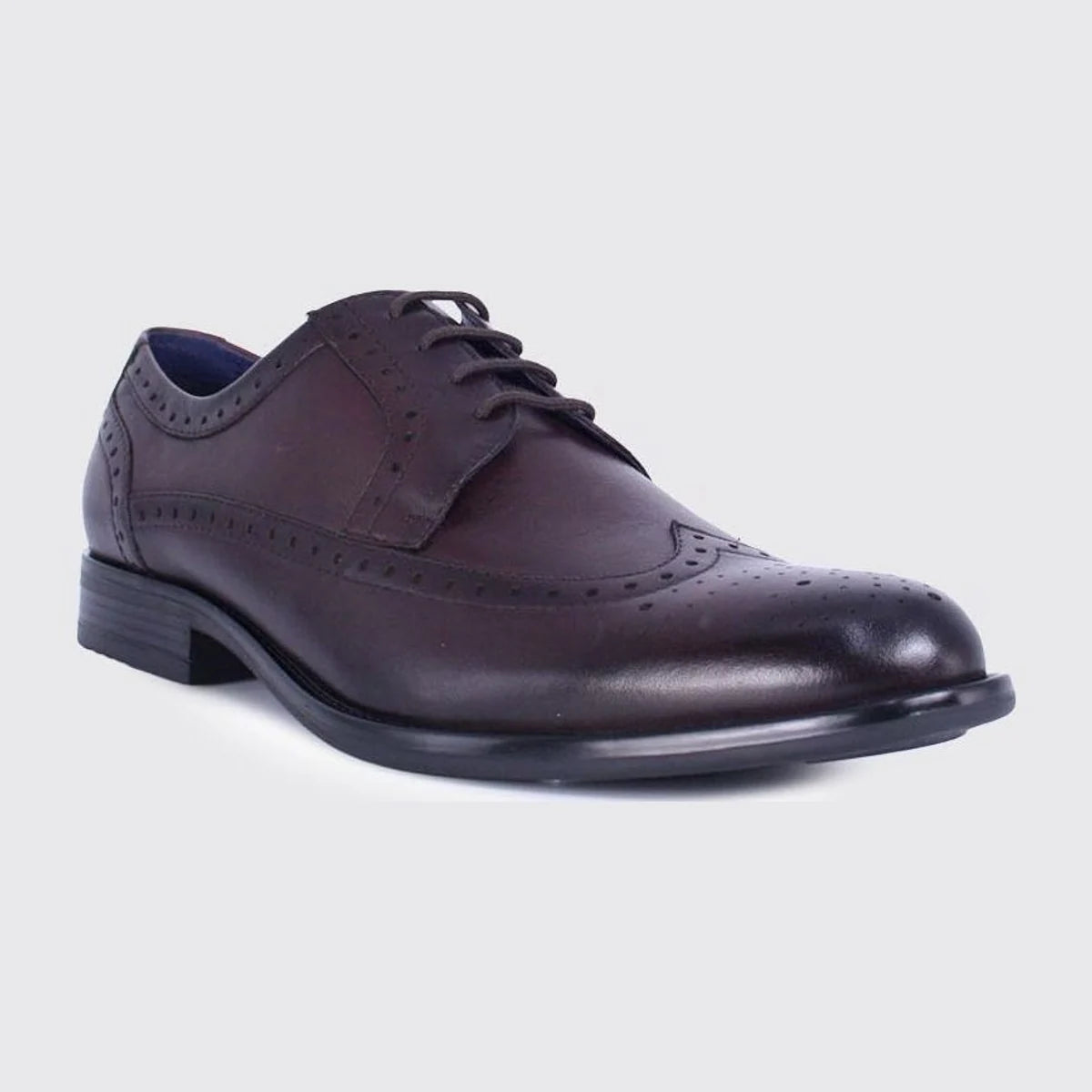Dubarry Dyson Men's Burgundy Brogue Shoes - additional product view