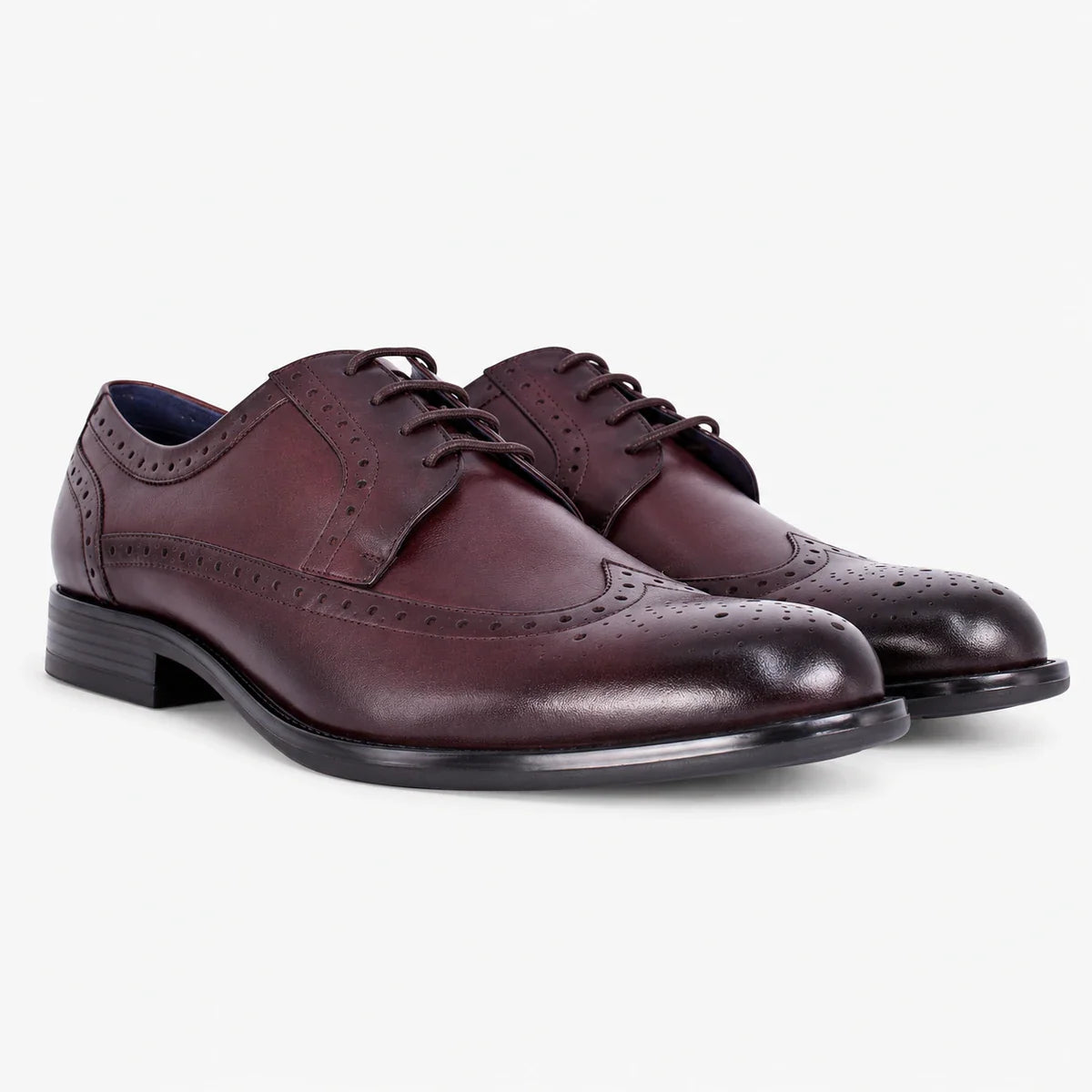 Dubarry Dyson Men's Burgundy Brogue Shoes