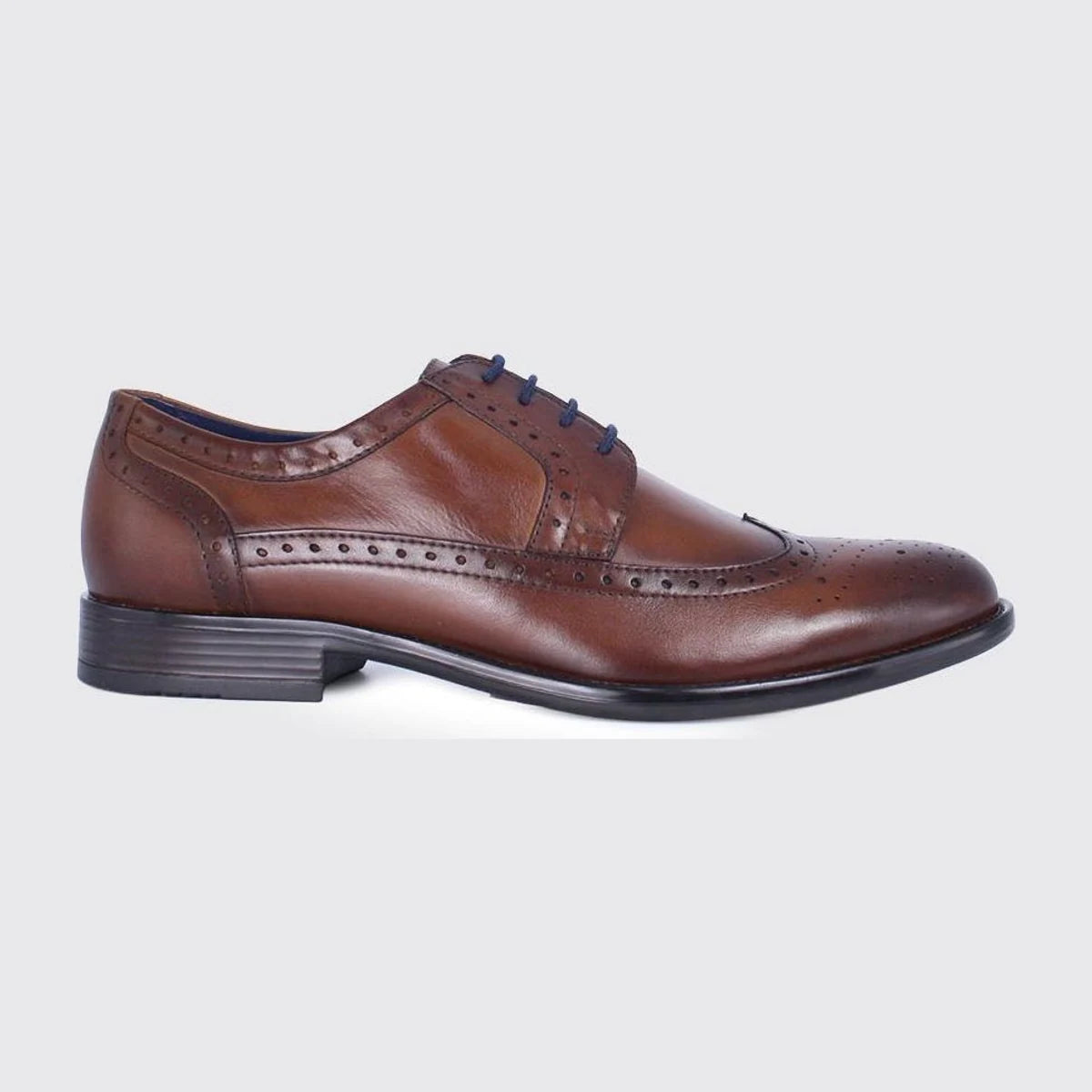 Dubarry Dyson Men's Whiskey Brogue Shoes - additional product view