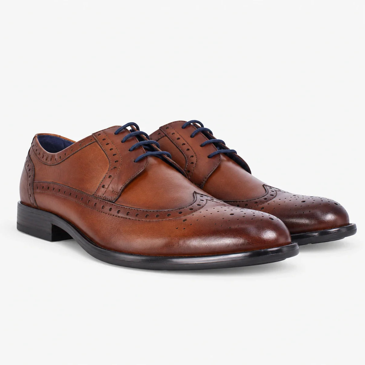 Dubarry Dyson Men's Whiskey Brogue Shoes