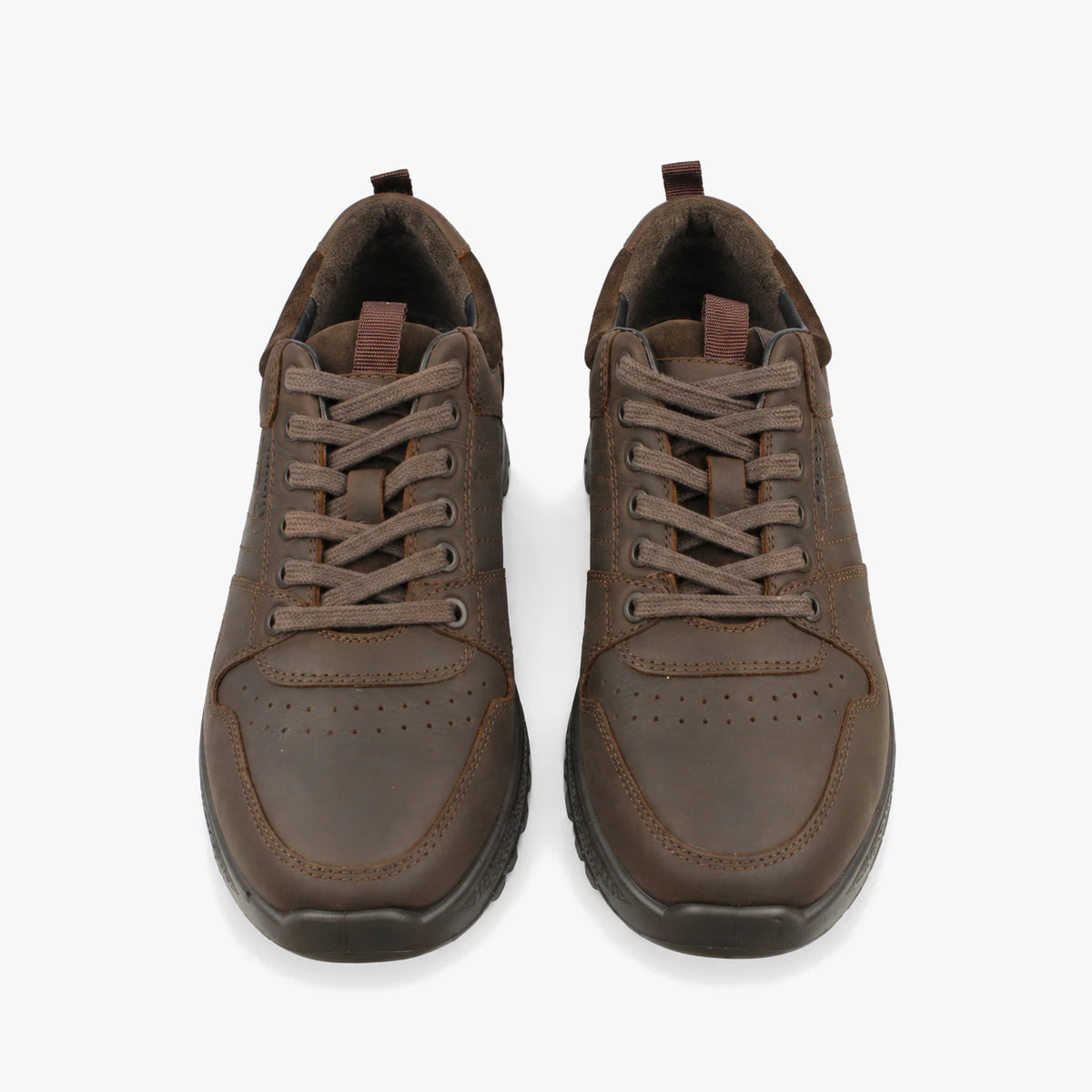Dubarry Summit Men's Trainers - Mahogany, front view