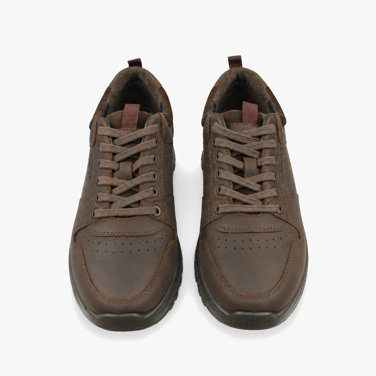 Dubarry Summit Men's Trainers - Mahogany, front view