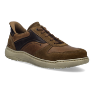 Chestnut multi