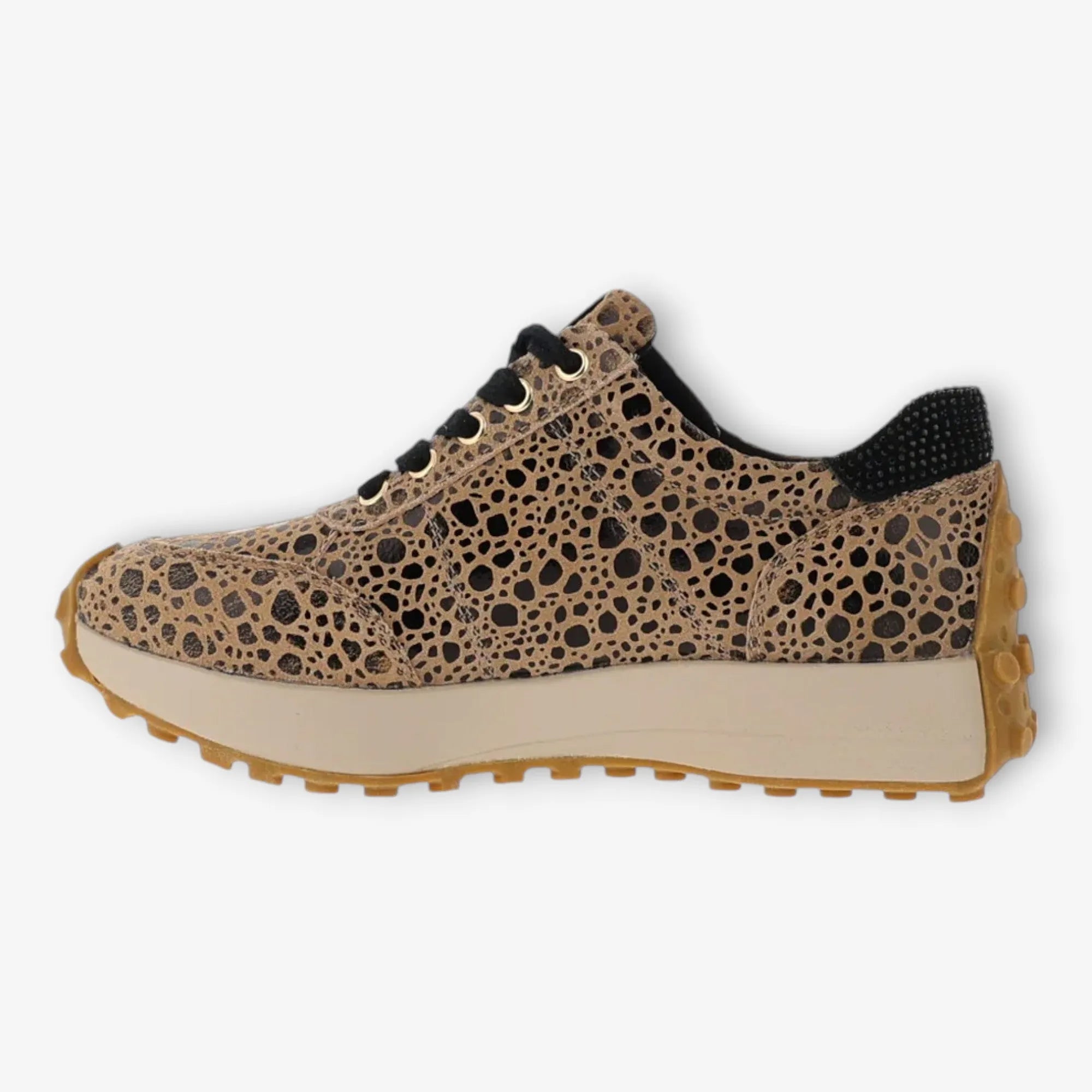 Next animal print trainers online