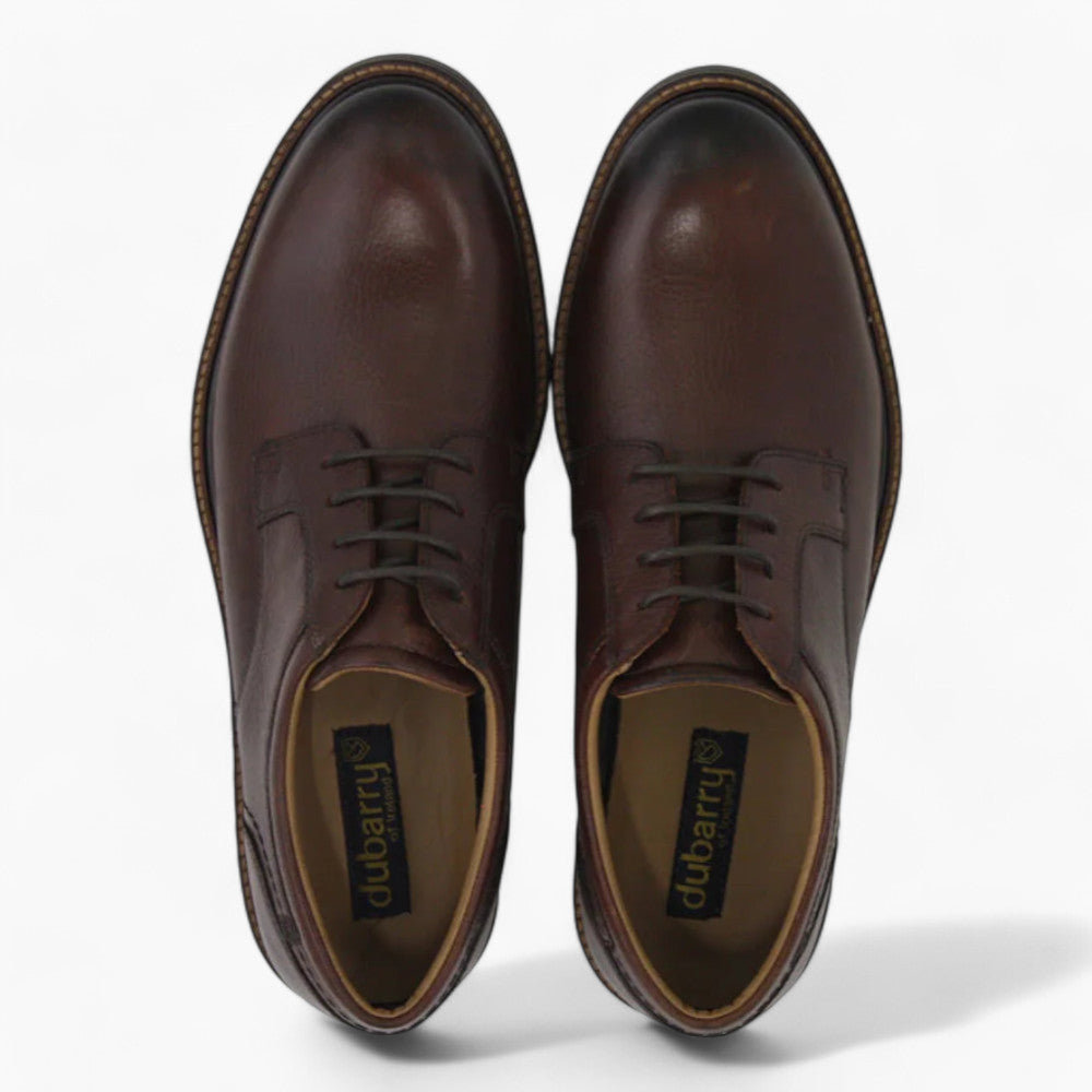 Dubarry Sly Men's Brown Leather Smart Casual Lace-Up Shoes – High-Quality Materials